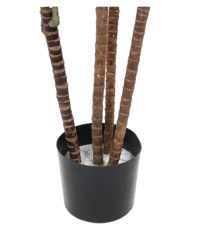 Dracaena sanderiana artificiel