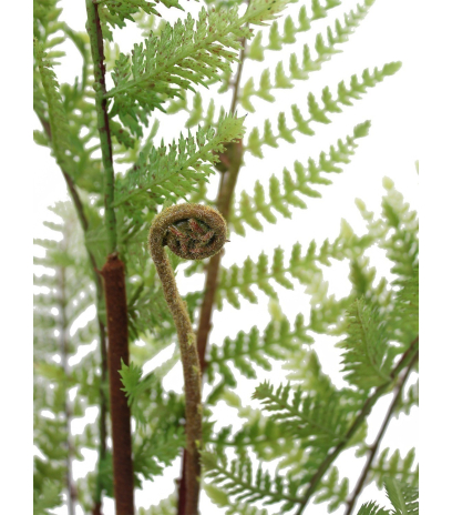 Fougère artificielle dicksonia