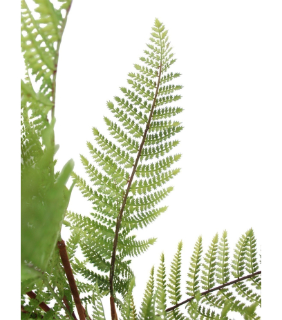Fougère artificielle dicksonia
