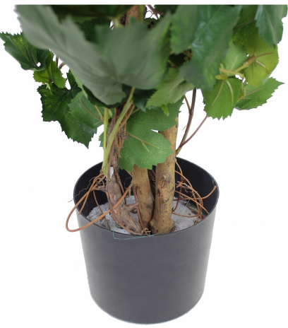 Vigne artificielle arbuste