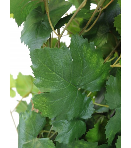 Vigne artificielle arbuste