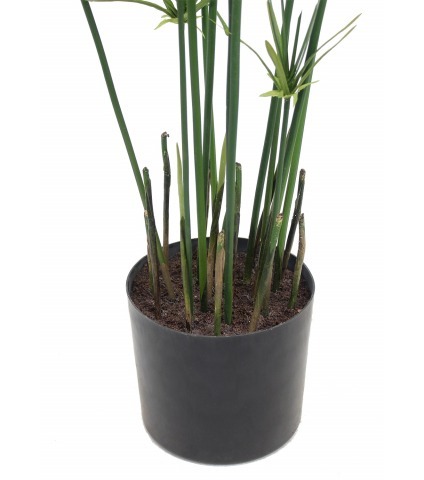 Papyrus artificiel en pot