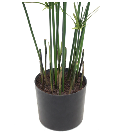 Papyrus artificiel en pot