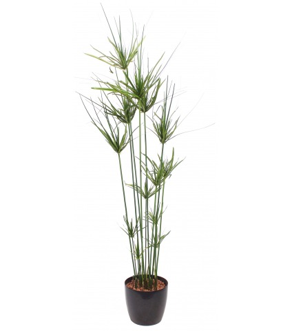 Papyrus artificiel en pot