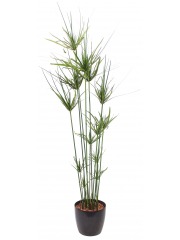 Papyrus artificiel en pot