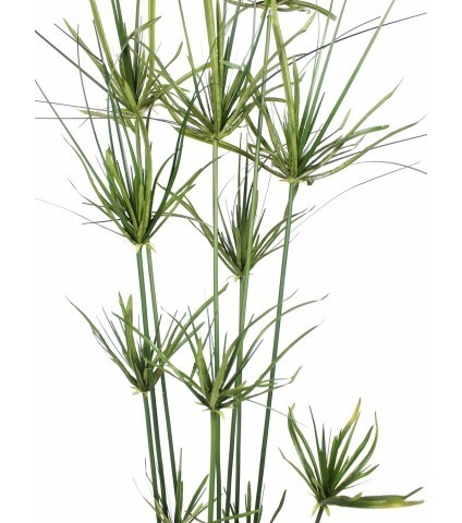 Papyrus artificiel en pot