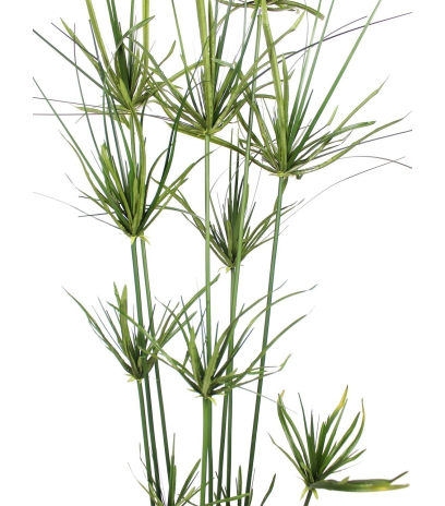 Papyrus artificiel en pot