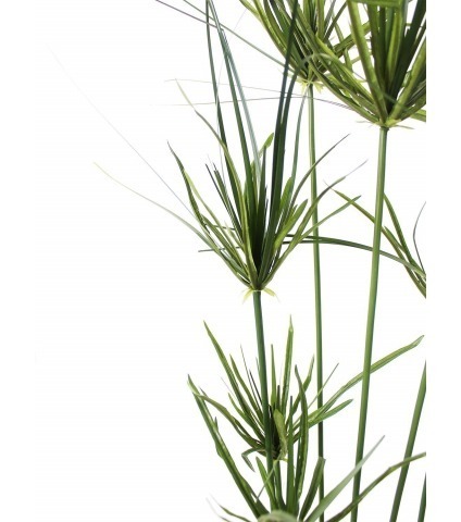 Papyrus artificiel en pot