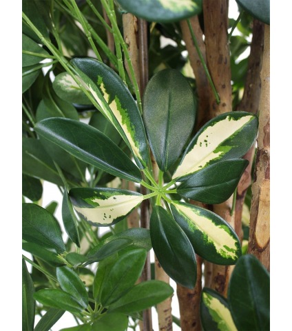 Schefflera arboricola artificiel