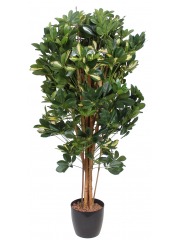 Schefflera arboricola artificiel