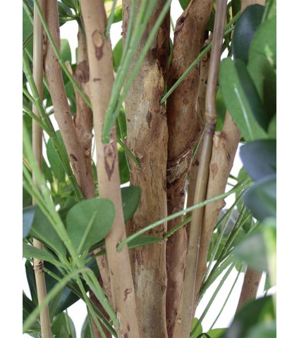 Schefflera arboricola artificiel