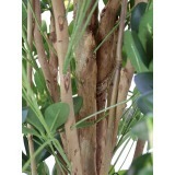 Schefflera arboricola artificiel