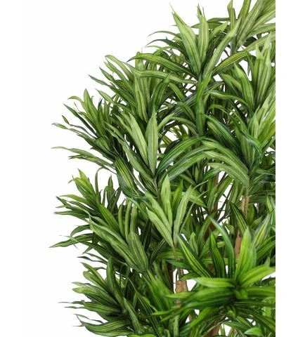 Dracaena artificiel reflexa