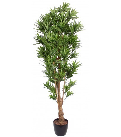 Dracaena artificiel reflexa