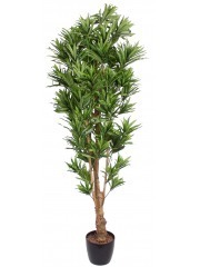 Dracaena artificiel reflexa