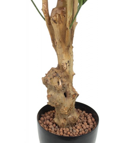 Dracaena artificiel reflexa