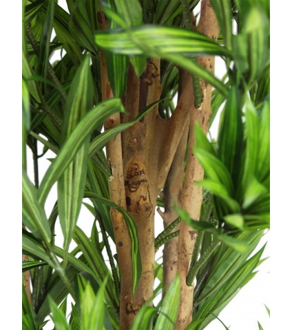 Dracaena artificiel reflexa