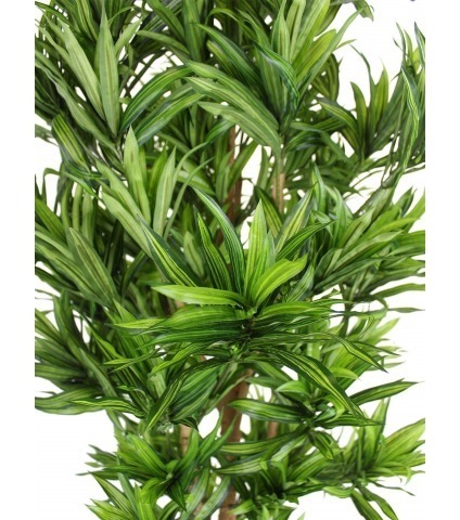 Dracaena artificiel reflexa