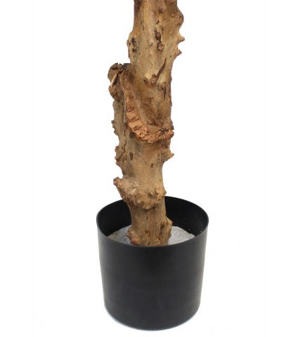 Dracaena artificiel reflexa