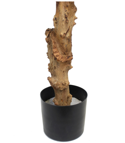 Dracaena artificiel reflexa