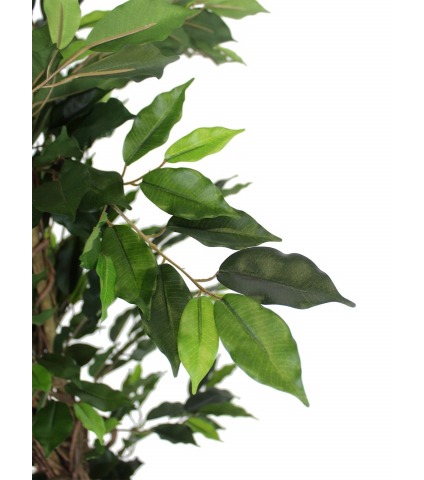 Ficus artificiel benjamina