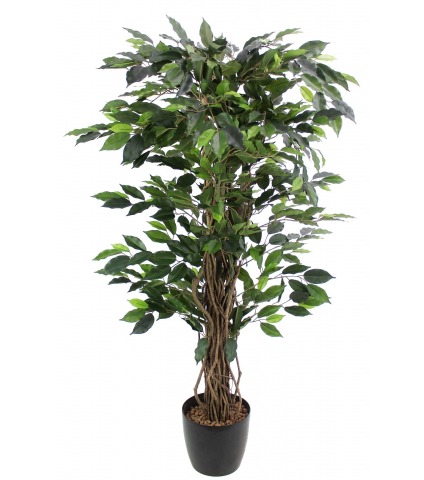 Ficus artificiel benjamina