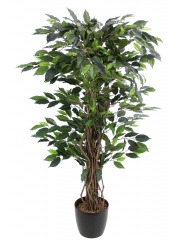 Ficus artificiel benjamina