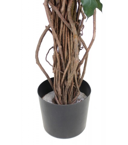 Ficus artificiel benjamina