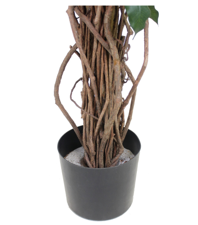 Ficus artificiel benjamina