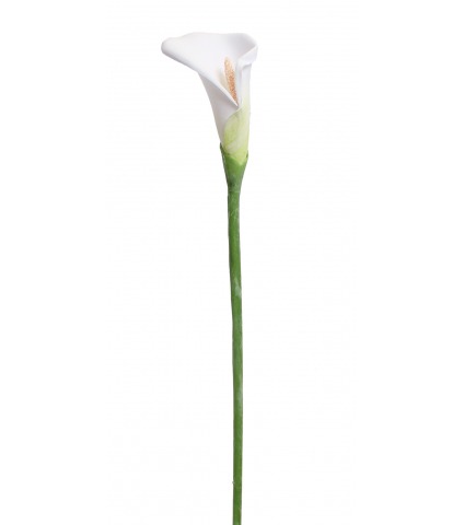 Arum blanc artificiel