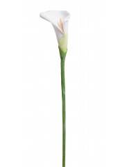 Arum blanc artificiel