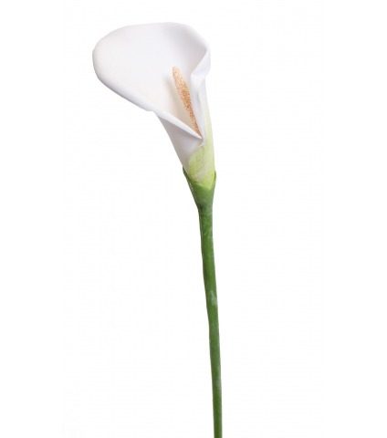 Arum blanc artificiel