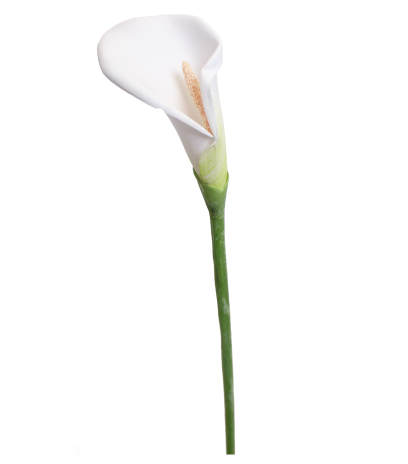 Arum blanc artificiel