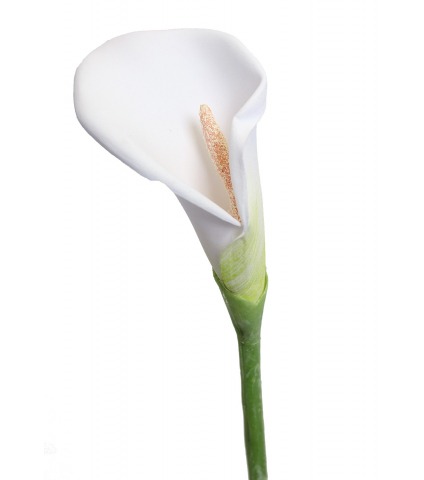 Arum blanc artificiel