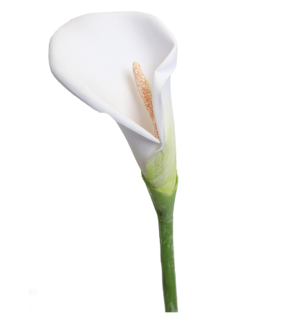 Arum blanc artificiel