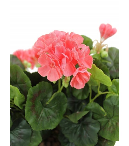 Grand géranium artificiel saumon