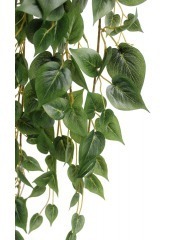 Philodendron artificiel retombant mini