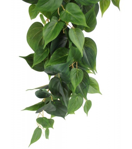Pothos artificiel retombant vert