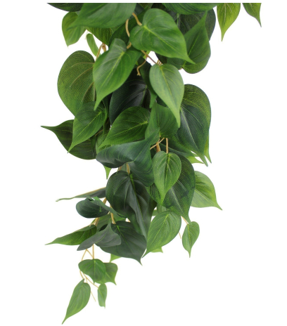 Pothos artificiel retombant vert