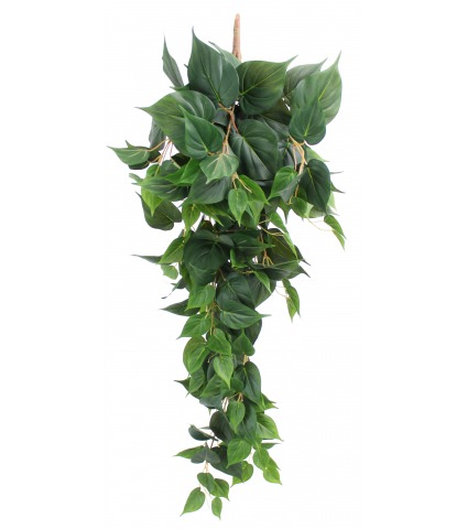 Pothos artificiel retombant vert