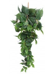 Pothos artificiel retombant vert
