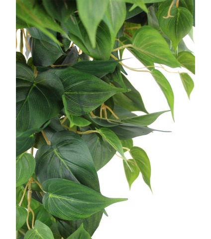 Pothos artificiel retombant vert