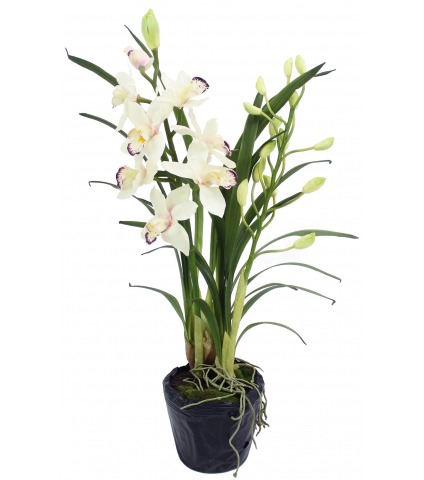 Cymbidium artificiel pot déco