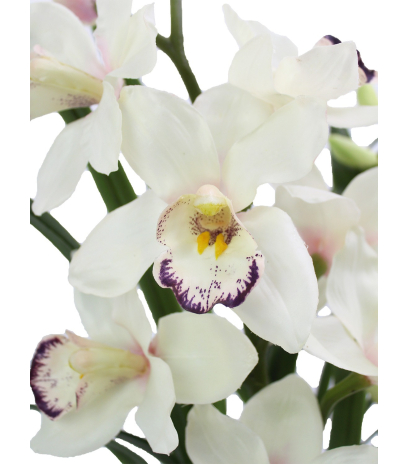 Cymbidium artificiel pot déco