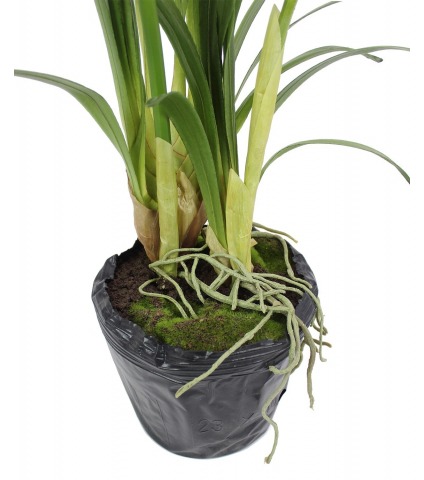 Cymbidium artificiel pot déco