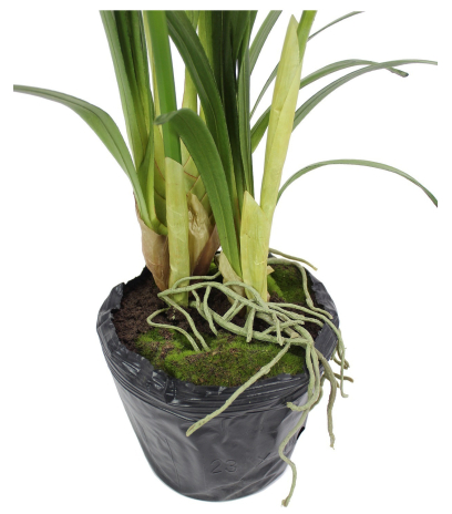 Cymbidium artificiel pot déco