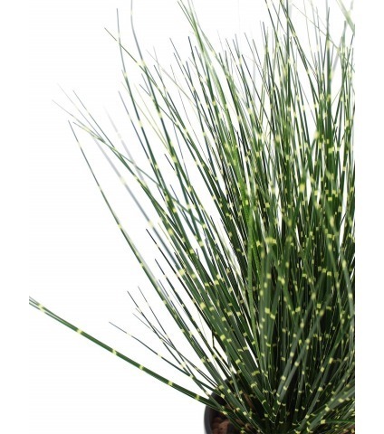 Roseau de Chine artificiel