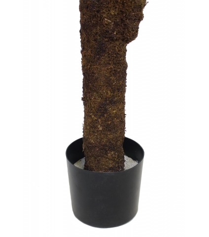 Asplenium artificiel large