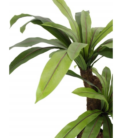 Asplenium artificiel large