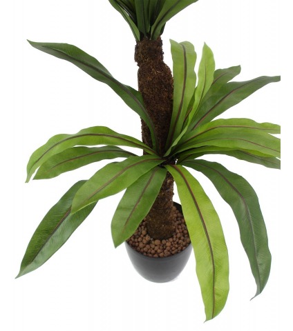 Asplenium artificiel large